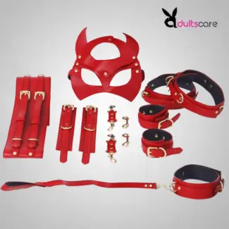 Top Class Luxury Bdsm Kit